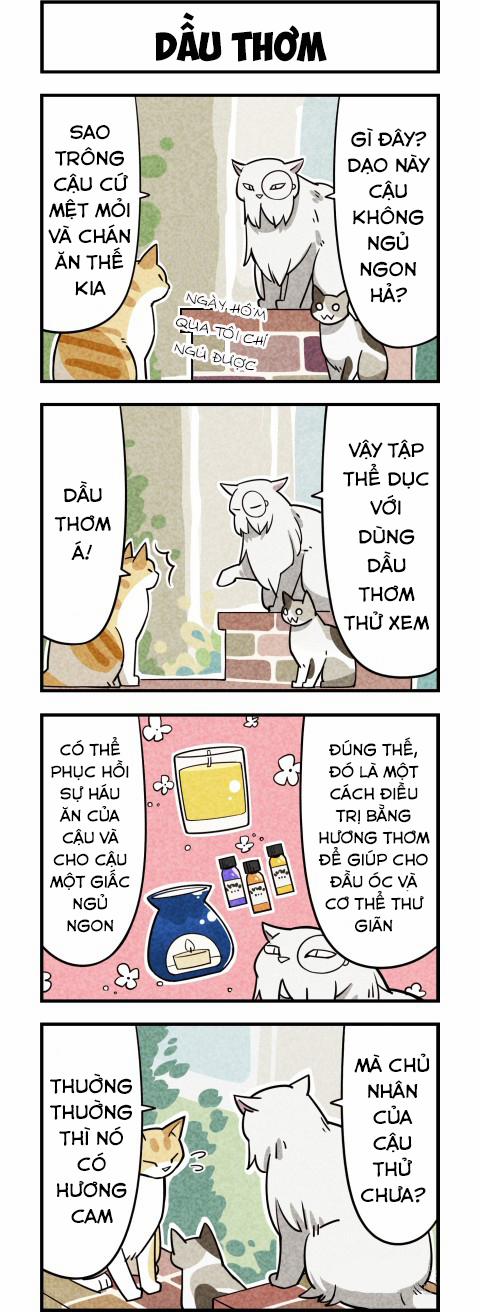 Chúng Tôi Là Mèo 9 trang 3