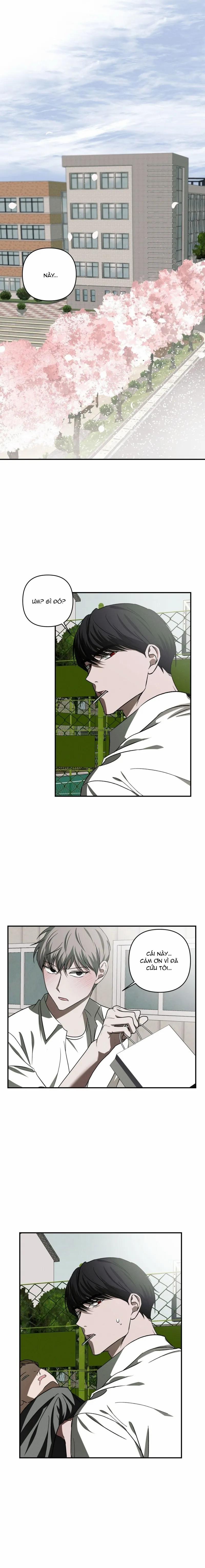 Chuỗi Mê Hoặc 8 trang 5