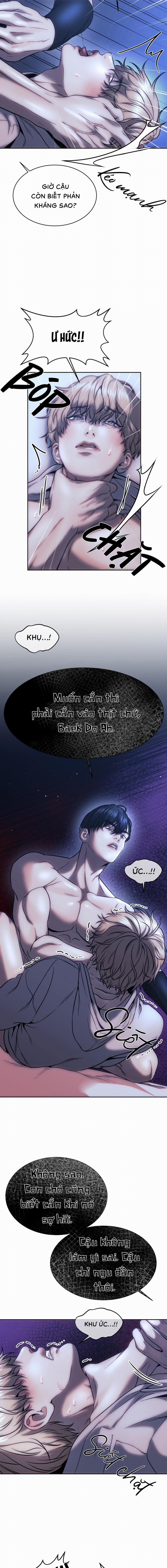 Chuồng chó Tosa 3 trang 12