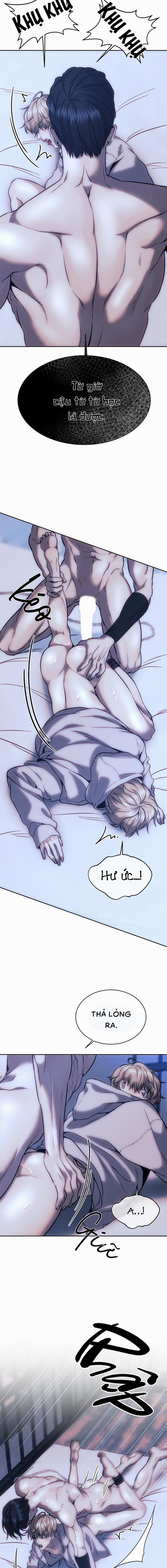 Chuồng chó Tosa 3 trang 13