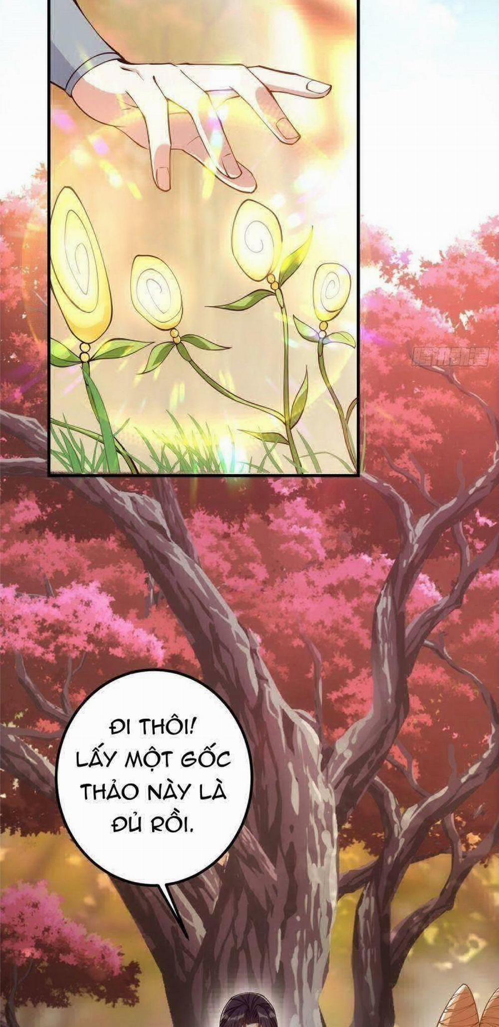 Chưởng Môn Khiêm Tốn Chút 6 trang 34