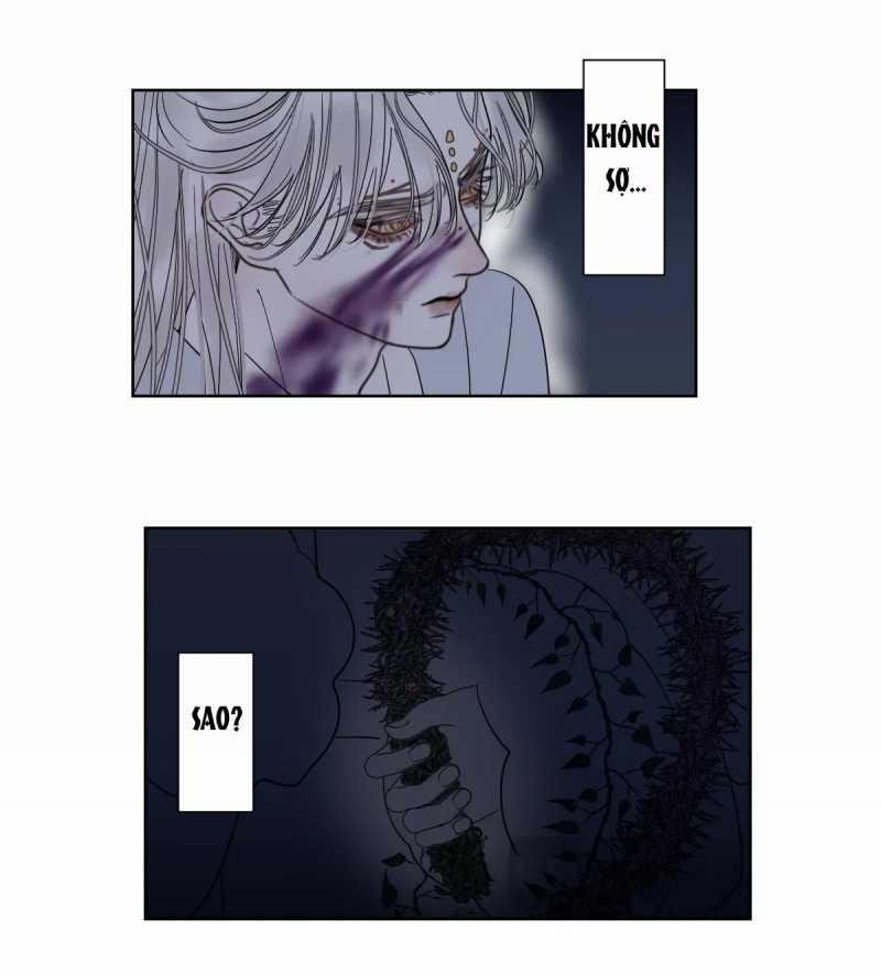 Chuyện Bên Lề Sau Khi Xuyên Sách Của Ta Và Sư Tôn 32 trang 21