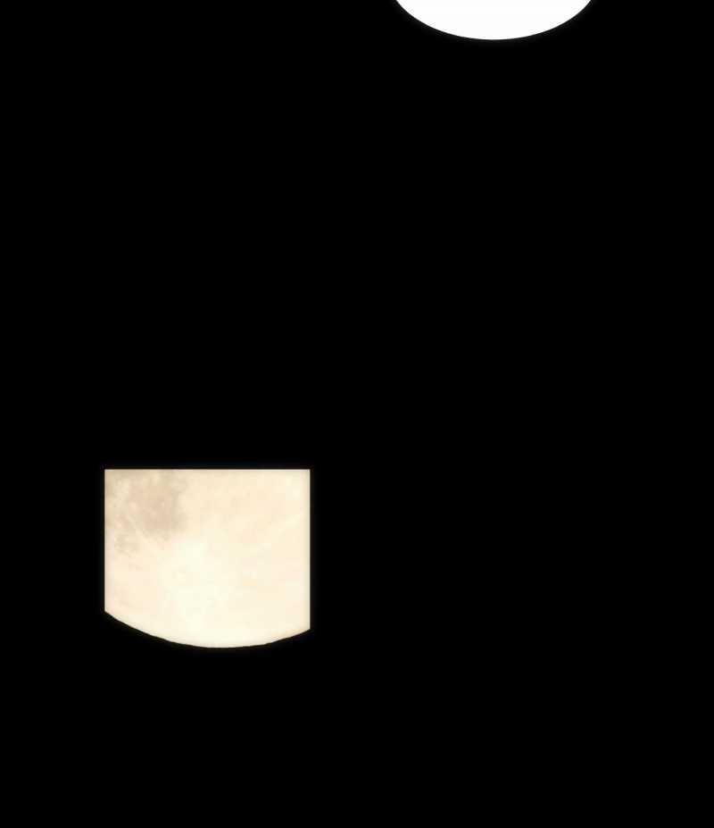 Chuyện Bên Lề Sau Khi Xuyên Sách Của Ta Và Sư Tôn 43 trang 56