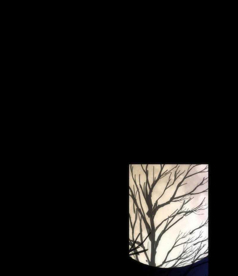 Chuyện Bên Lề Sau Khi Xuyên Sách Của Ta Và Sư Tôn 43 trang 57