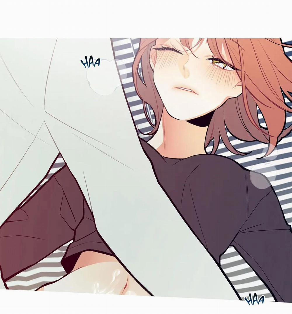 Chuyện Gì Đây? 4 trang 51