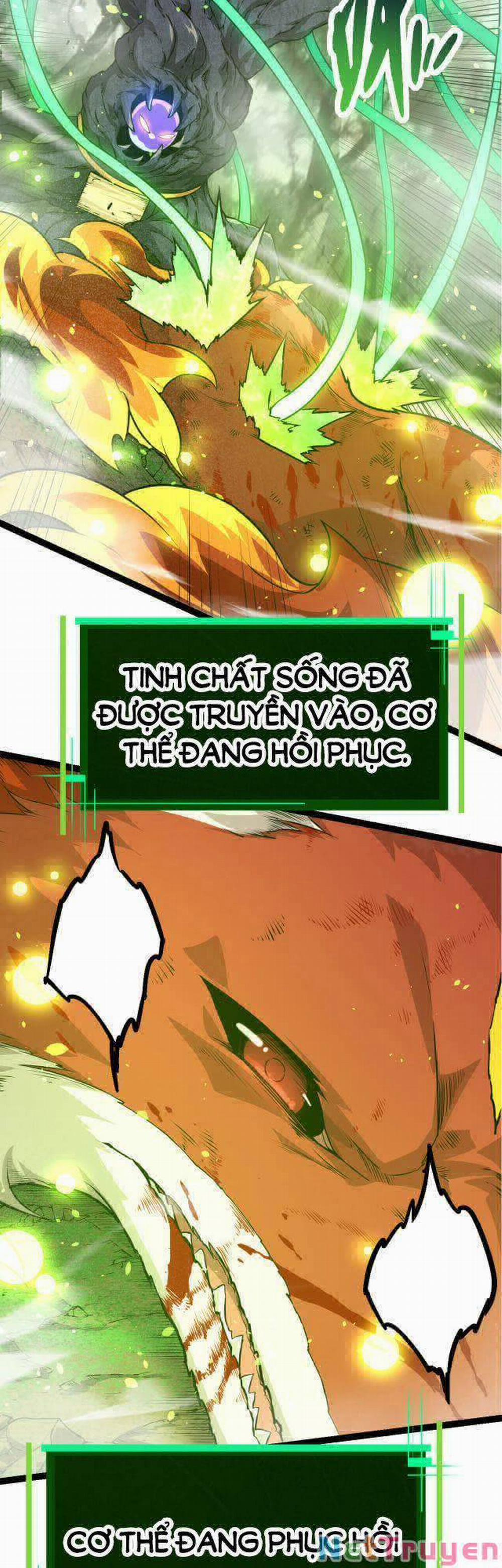 Chuyển Sinh Thành Liễu Đột Biến 10 trang 6
