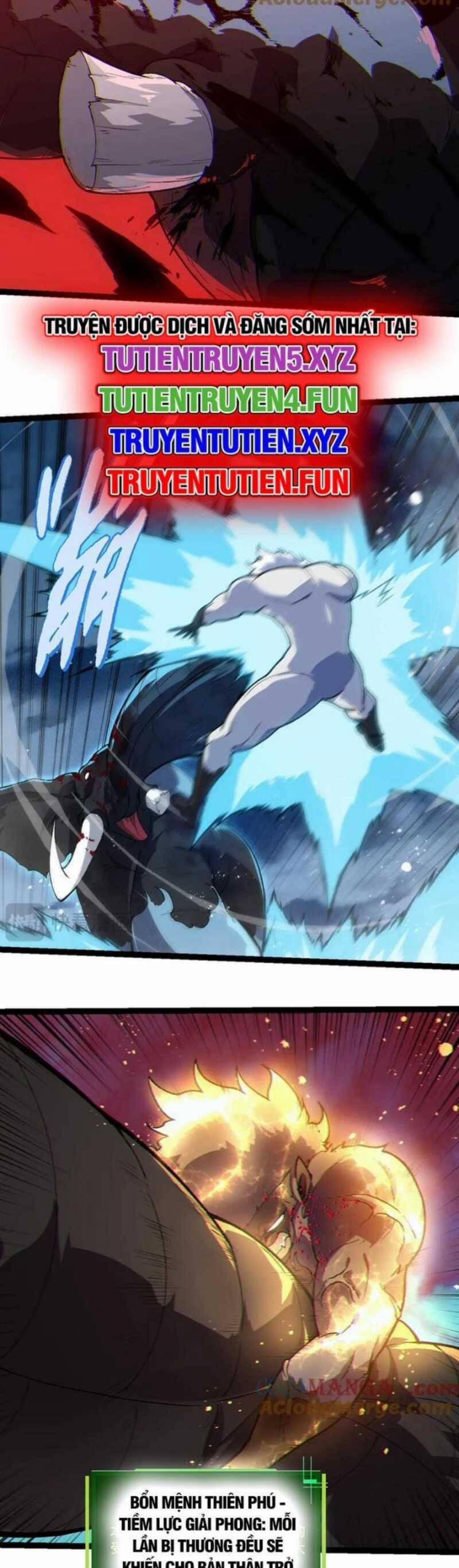 Chuyển Sinh Thành Liễu Đột Biến 247 trang 14