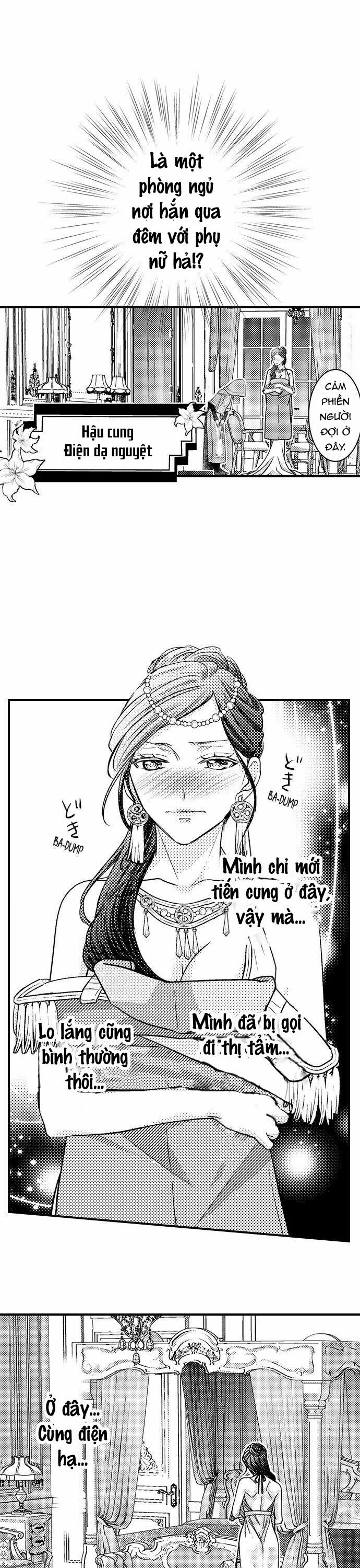 Chuyển Sinh Vào Thế Giới Khác ~ Nếu Muốn Trở Thành Nữ Hoàng Hãy Tìm Cách Để Được Hoàng Đế Sủng Ái Vào Ban Đêm 3.1 trang 5