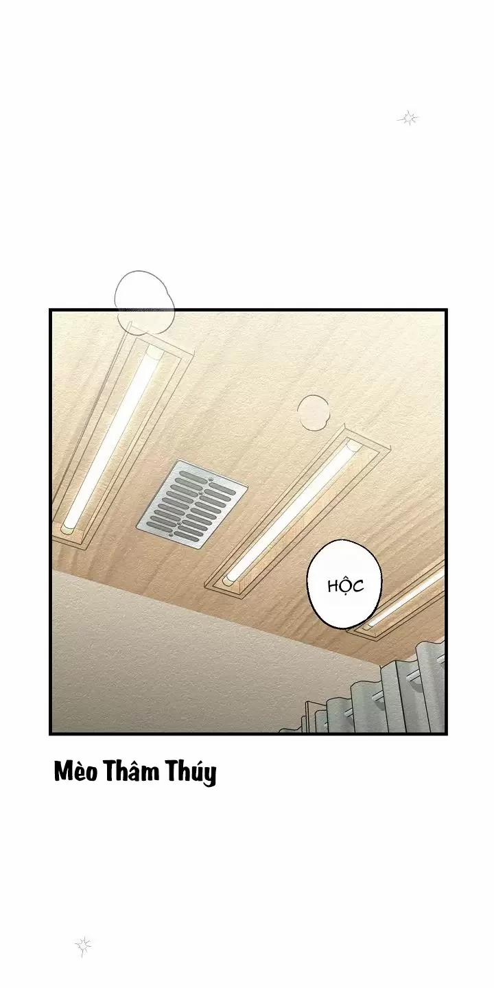 Chuyến Tàu Cuồng Loạn 19 trang 41