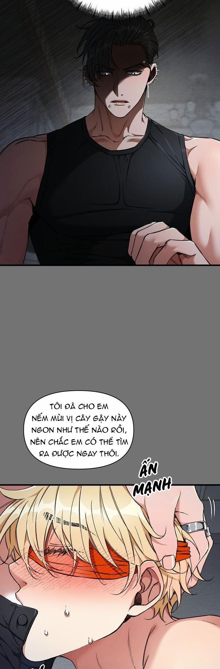 Chuyến Tàu Cuồng Loạn 28 (H+) trang 33