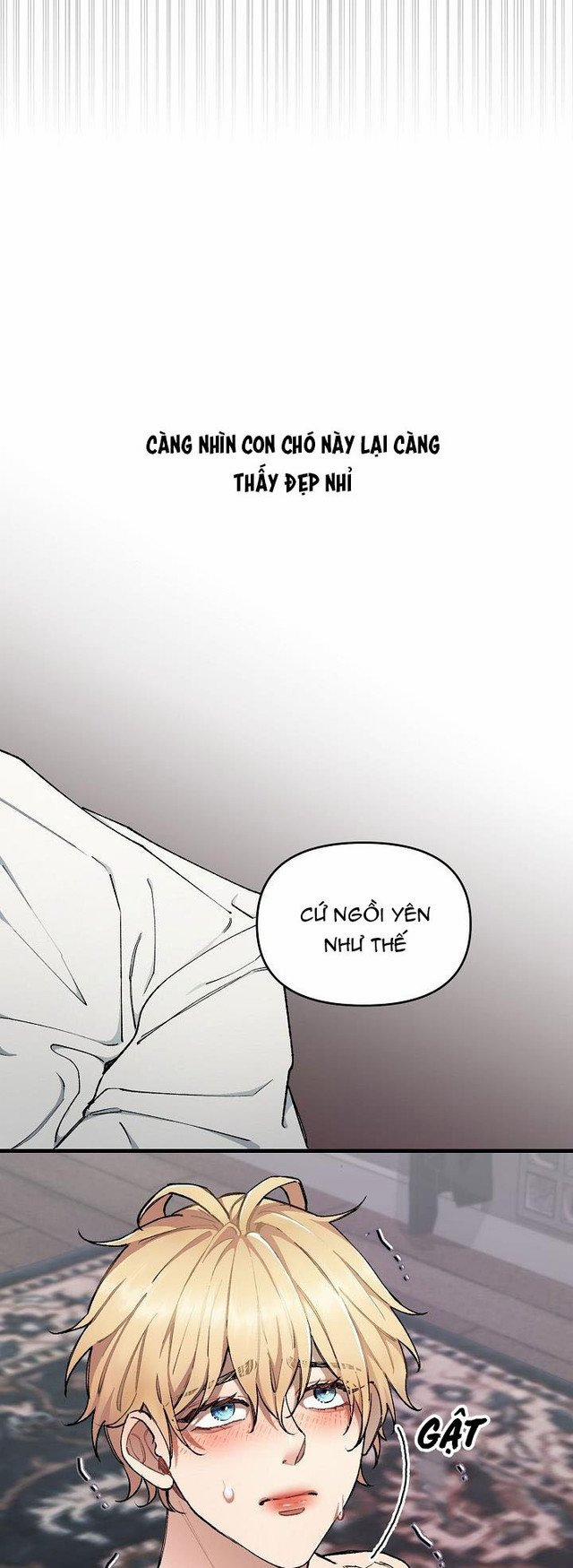 Chuyến Tàu Cuồng Loạn 30 (H+) trang 44