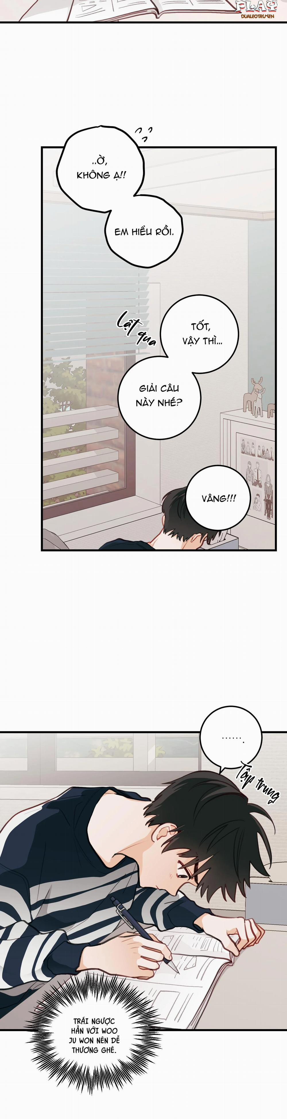 CHUYỆN TÌNH HOA LÊ NỞ 10 trang 24