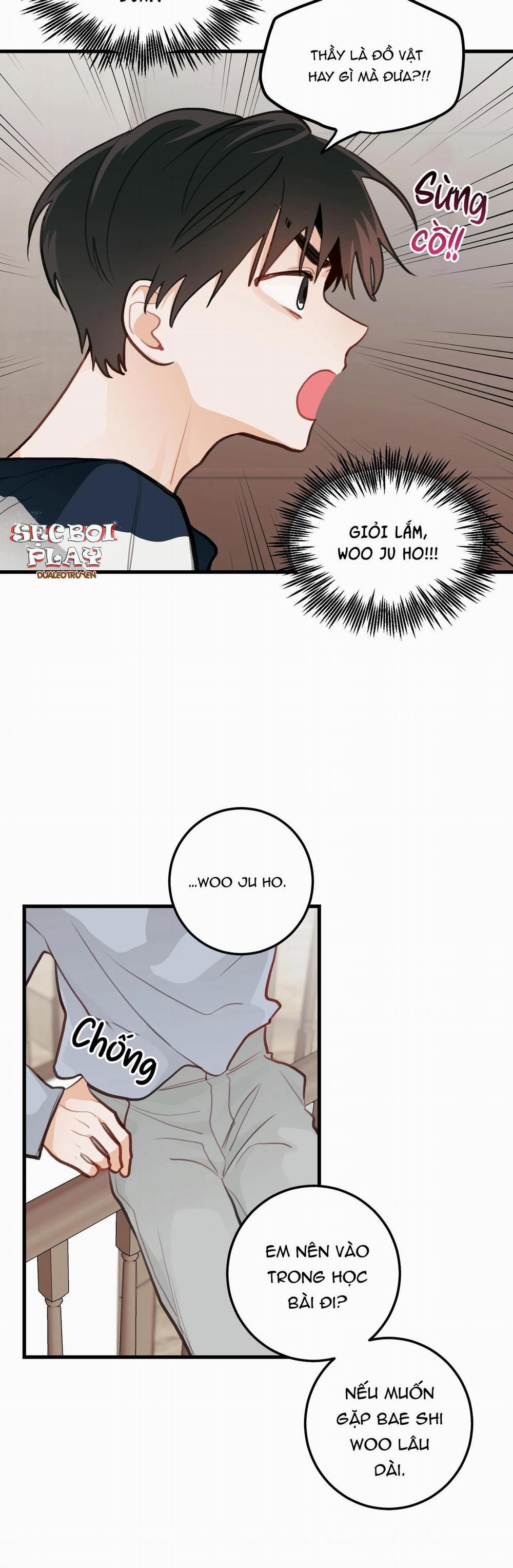 CHUYỆN TÌNH HOA LÊ NỞ 11 trang 13