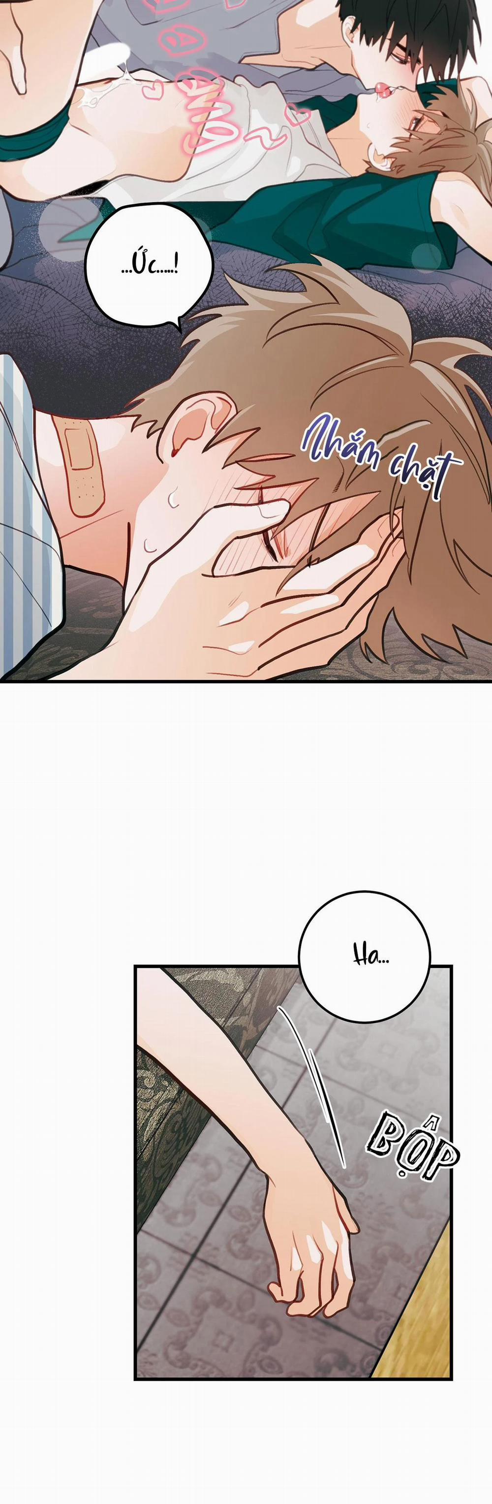 CHUYỆN TÌNH HOA LÊ NỞ 14 trang 12