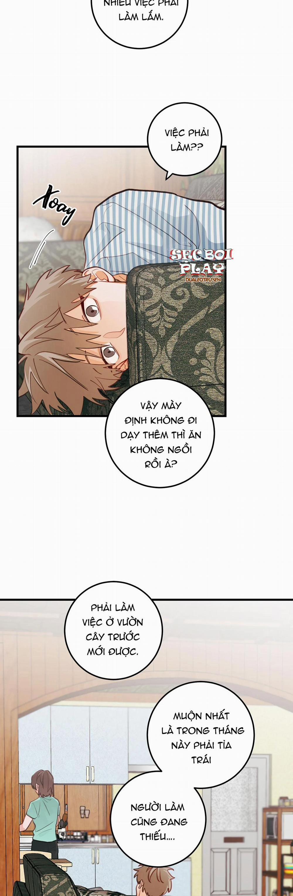 CHUYỆN TÌNH HOA LÊ NỞ 14 trang 22