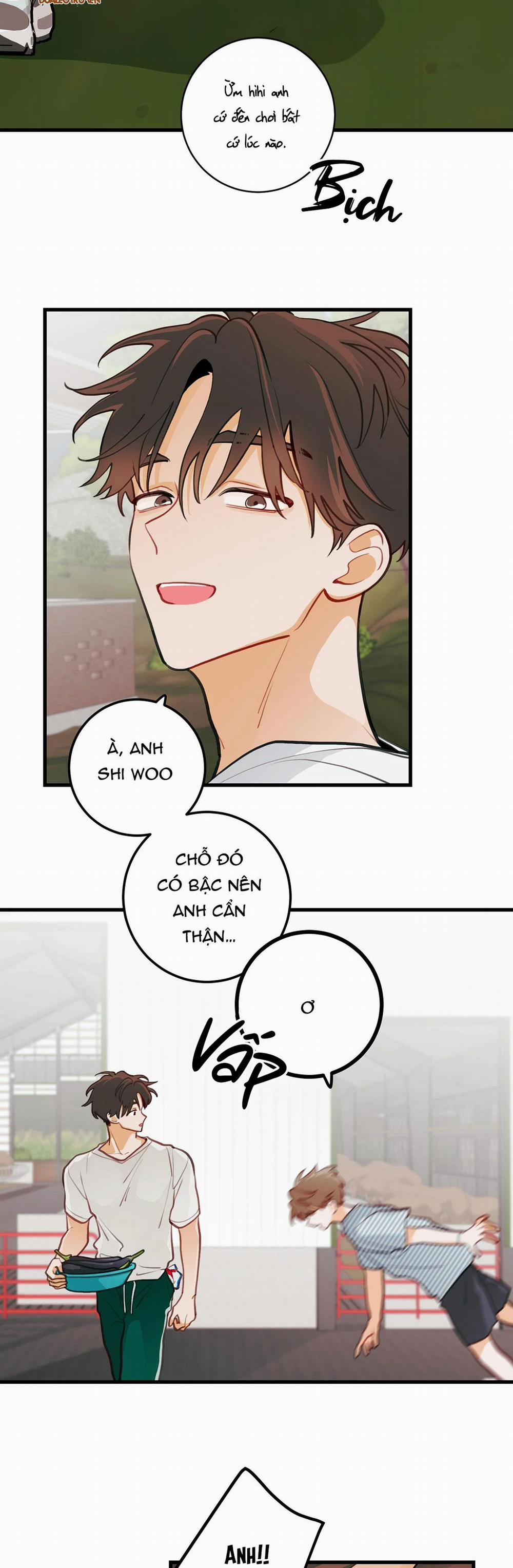 CHUYỆN TÌNH HOA LÊ NỞ 14 trang 31