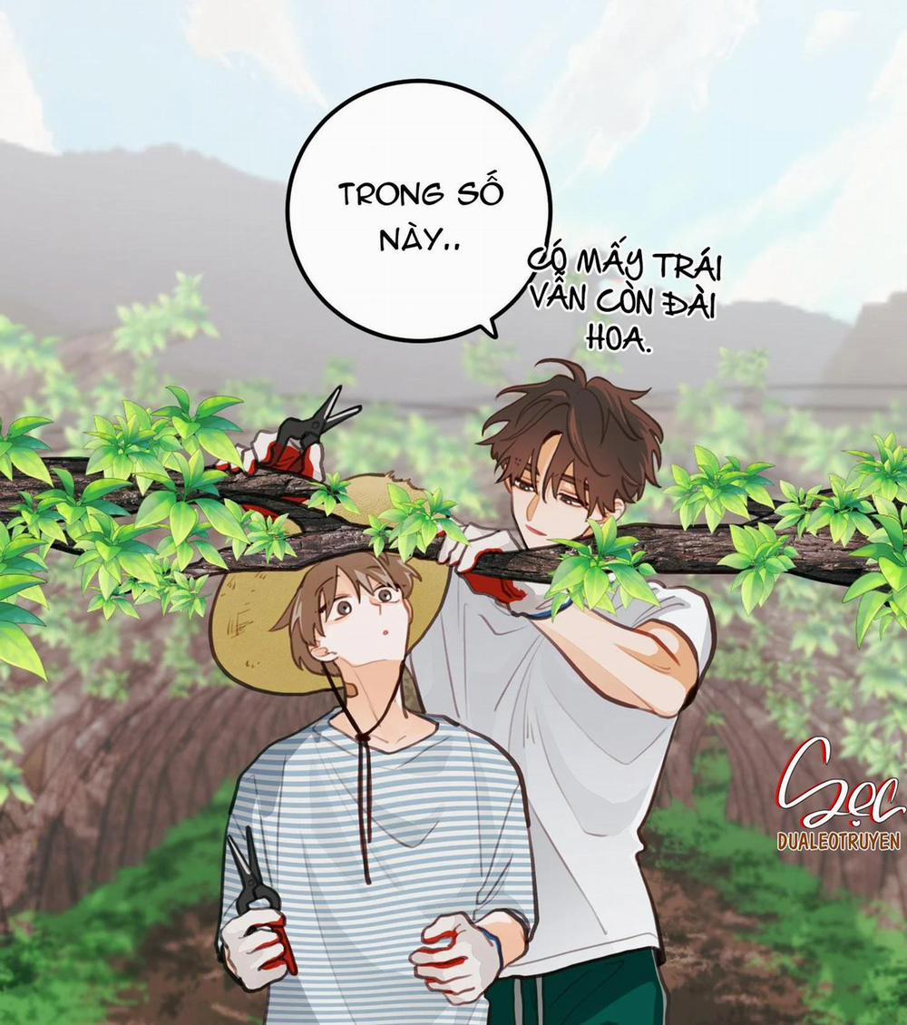 CHUYỆN TÌNH HOA LÊ NỞ 16 trang 22