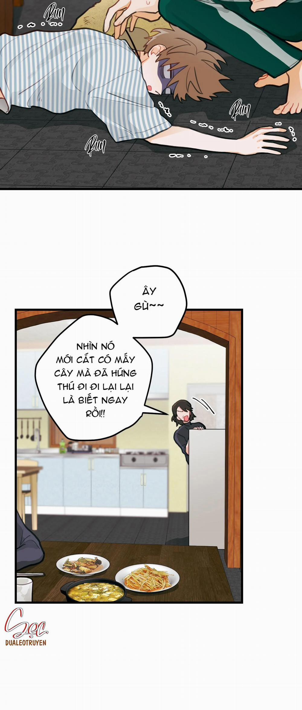 CHUYỆN TÌNH HOA LÊ NỞ 16 trang 37