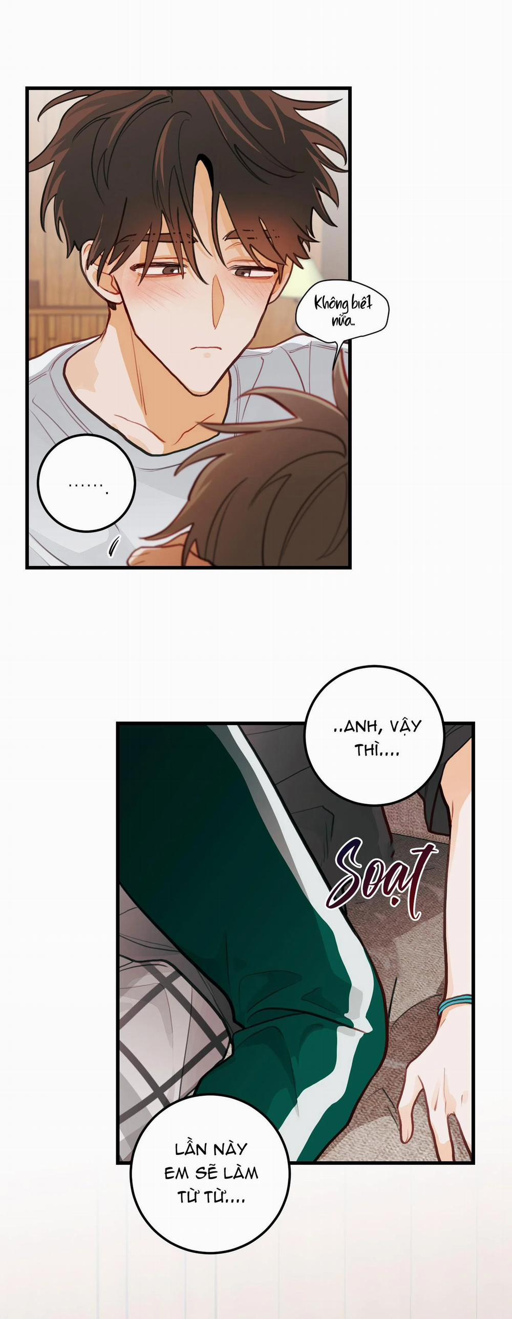 CHUYỆN TÌNH HOA LÊ NỞ 17 trang 38