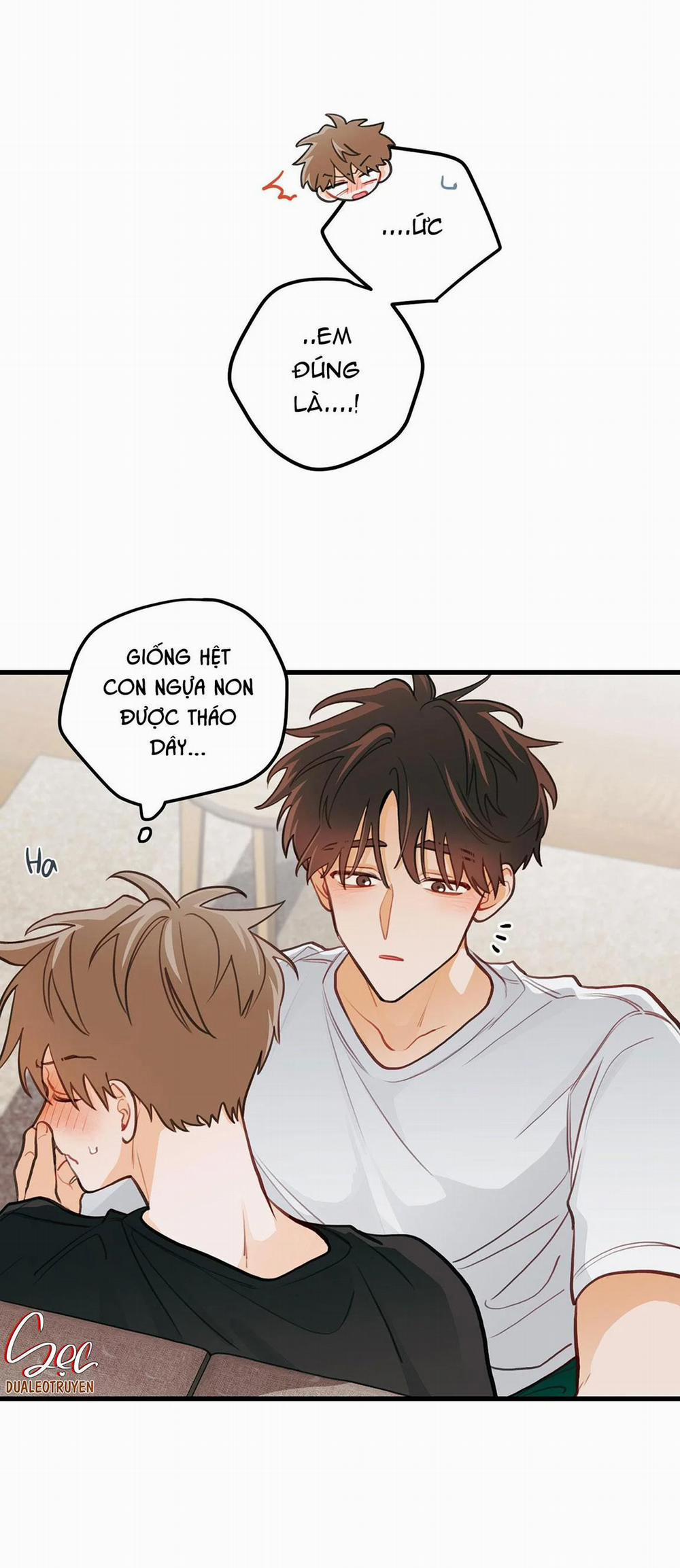 CHUYỆN TÌNH HOA LÊ NỞ 18 trang 10