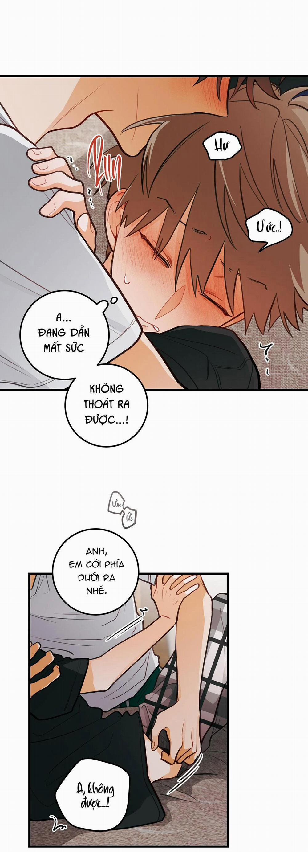 CHUYỆN TÌNH HOA LÊ NỞ 18 trang 23