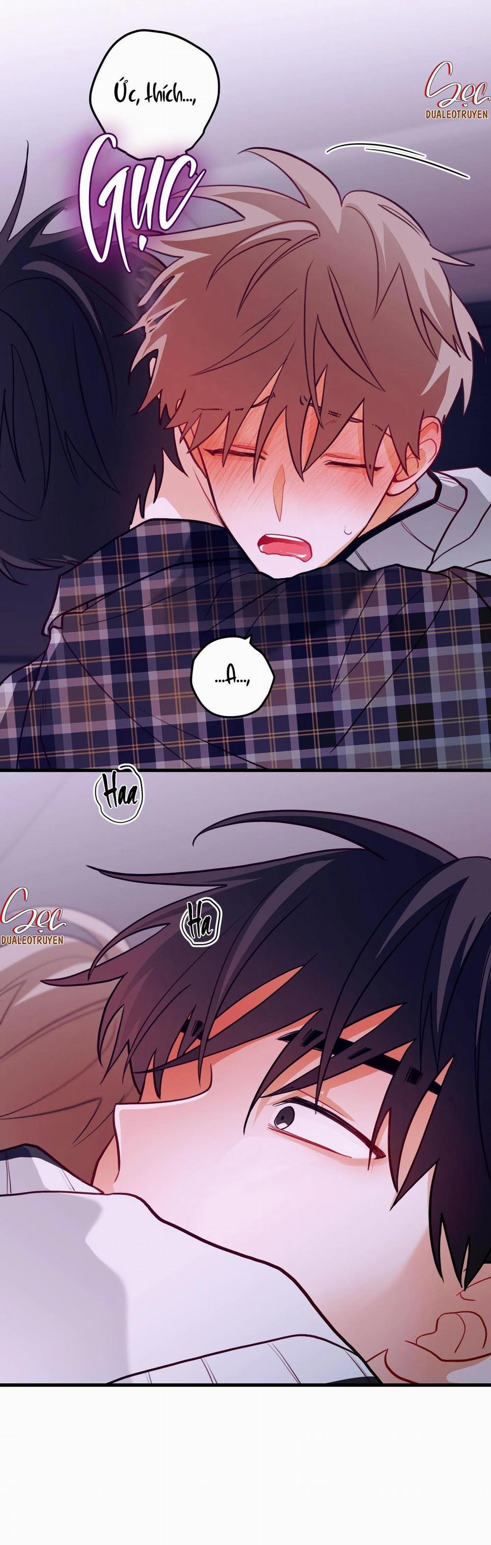 CHUYỆN TÌNH HOA LÊ NỞ 25 trang 37