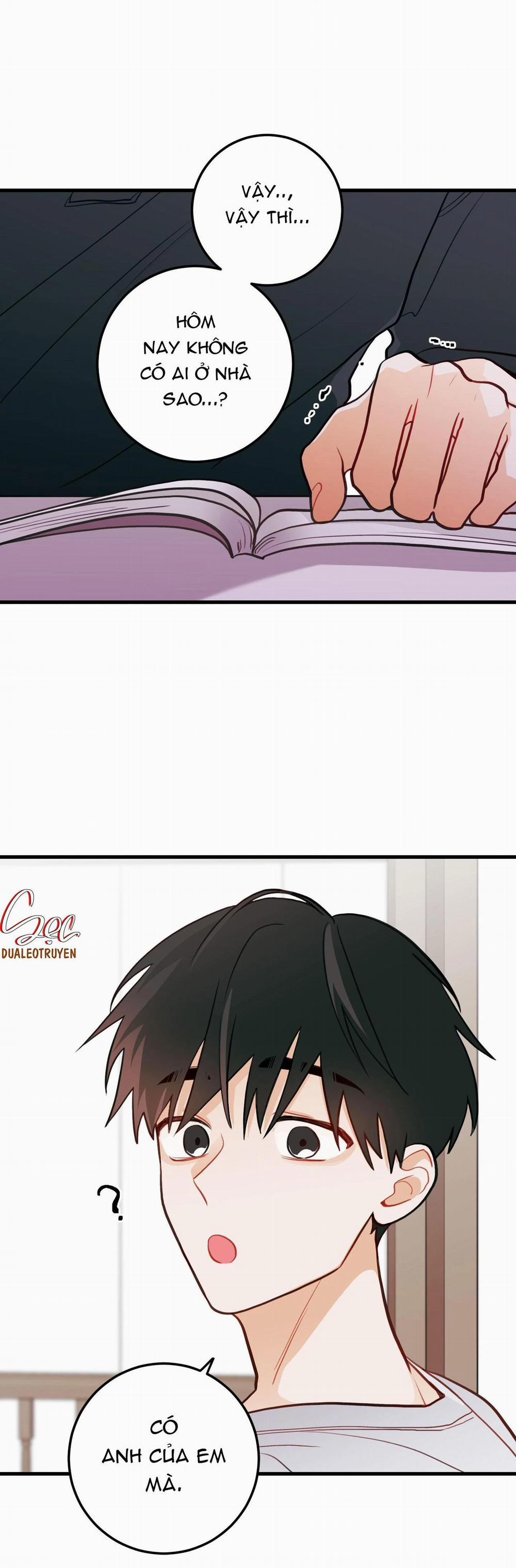 CHUYỆN TÌNH HOA LÊ NỞ 27 trang 15