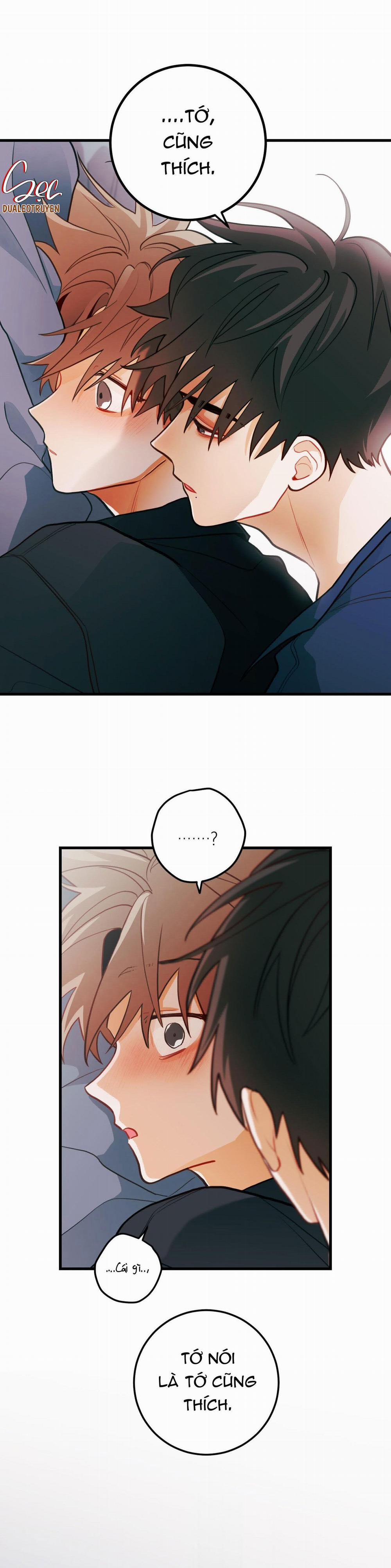 CHUYỆN TÌNH HOA LÊ NỞ 27 trang 39