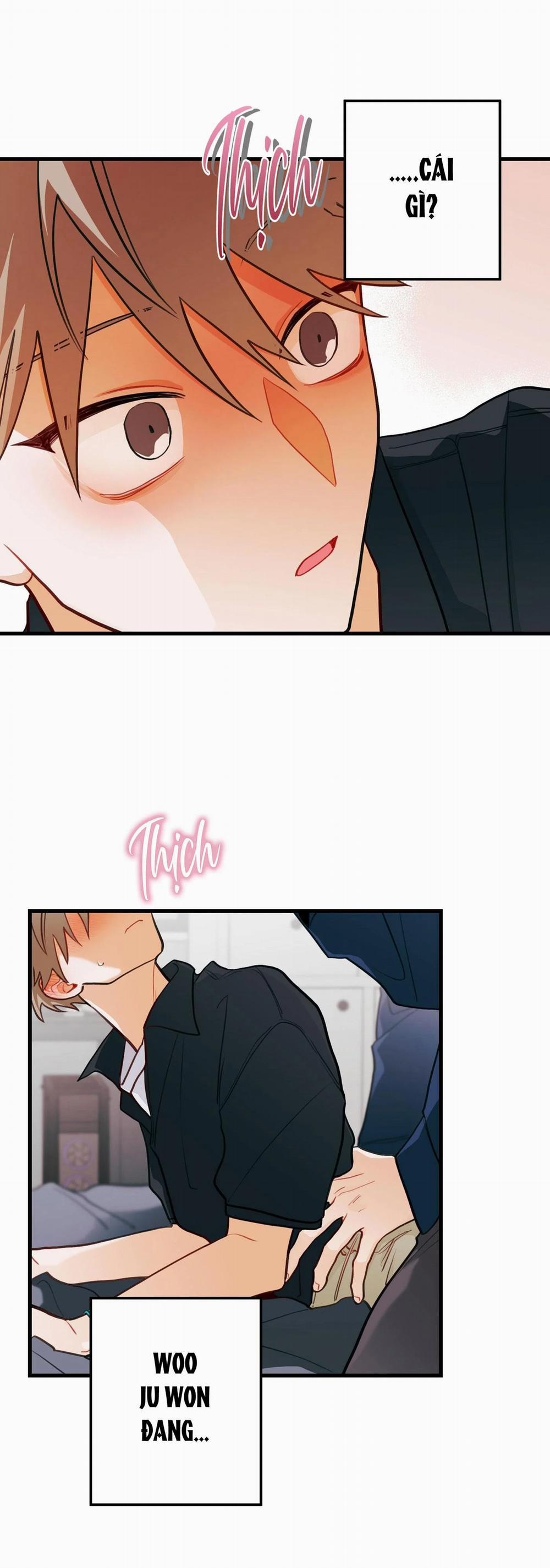 CHUYỆN TÌNH HOA LÊ NỞ 28 trang 2