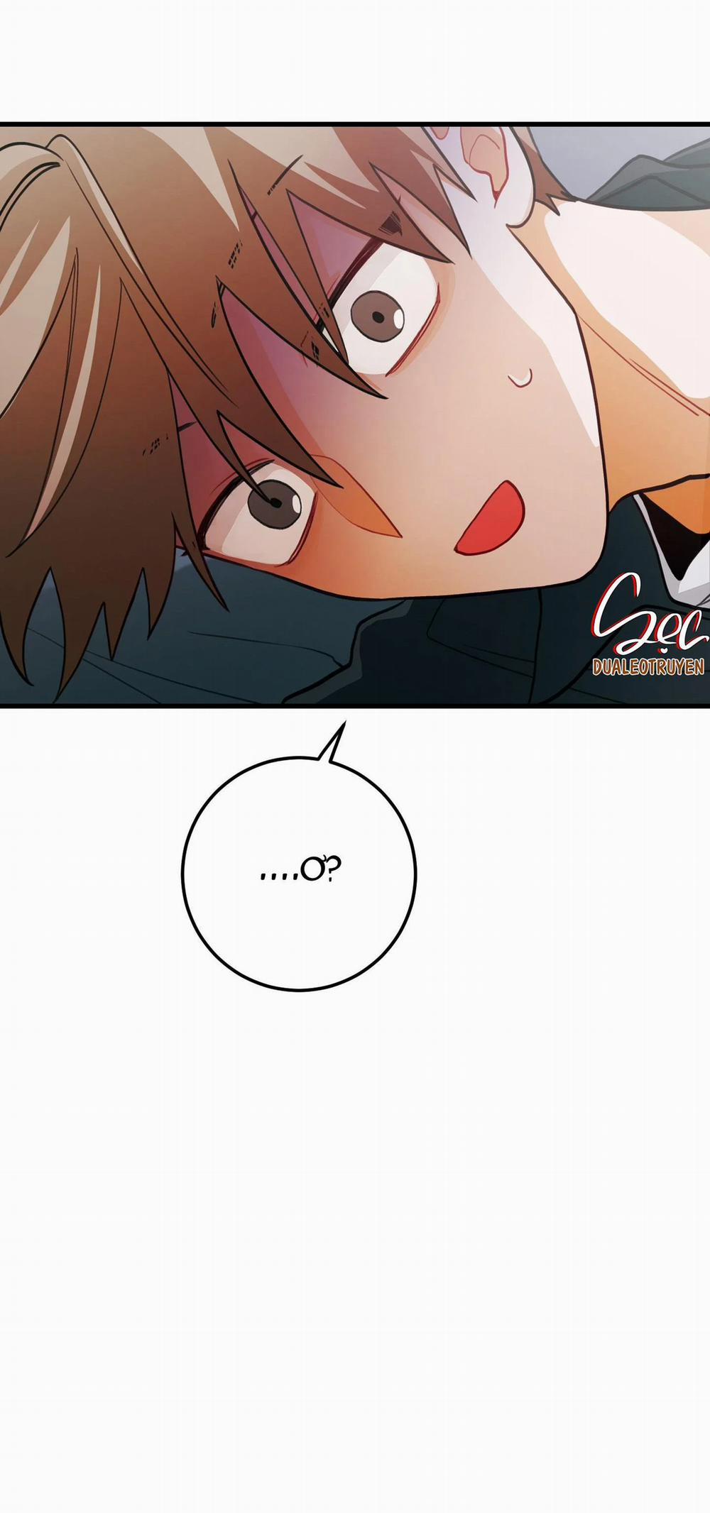 CHUYỆN TÌNH HOA LÊ NỞ 28 trang 21