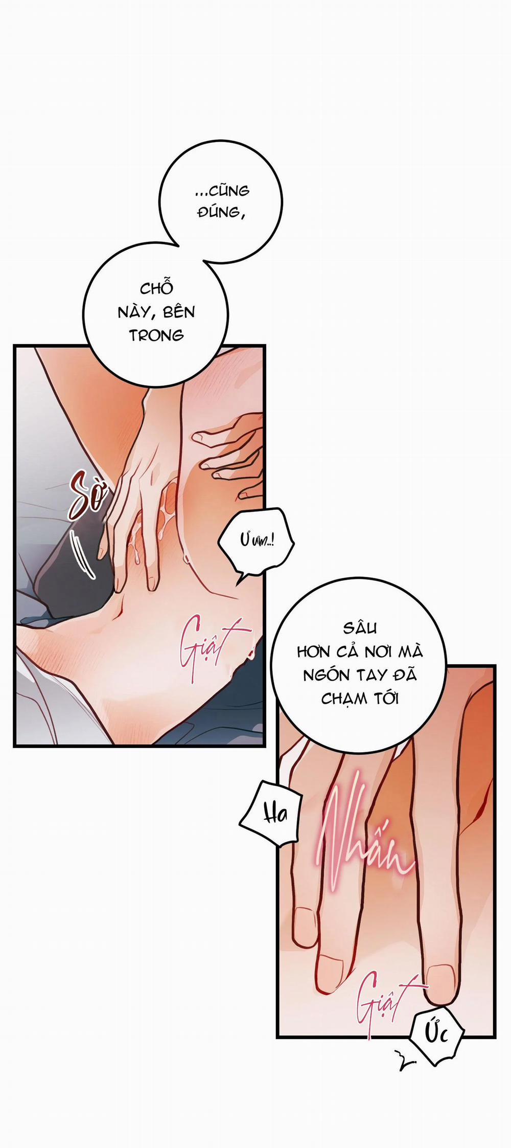 CHUYỆN TÌNH HOA LÊ NỞ 28 trang 36