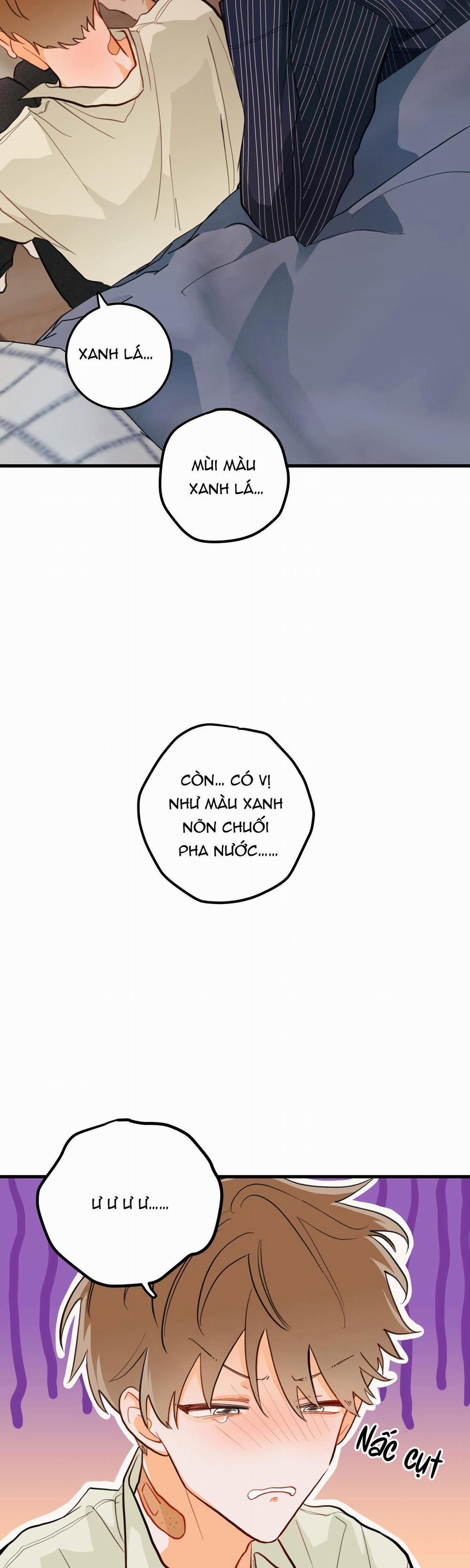 CHUYỆN TÌNH HOA LÊ NỞ 6 ngang raw trang 23