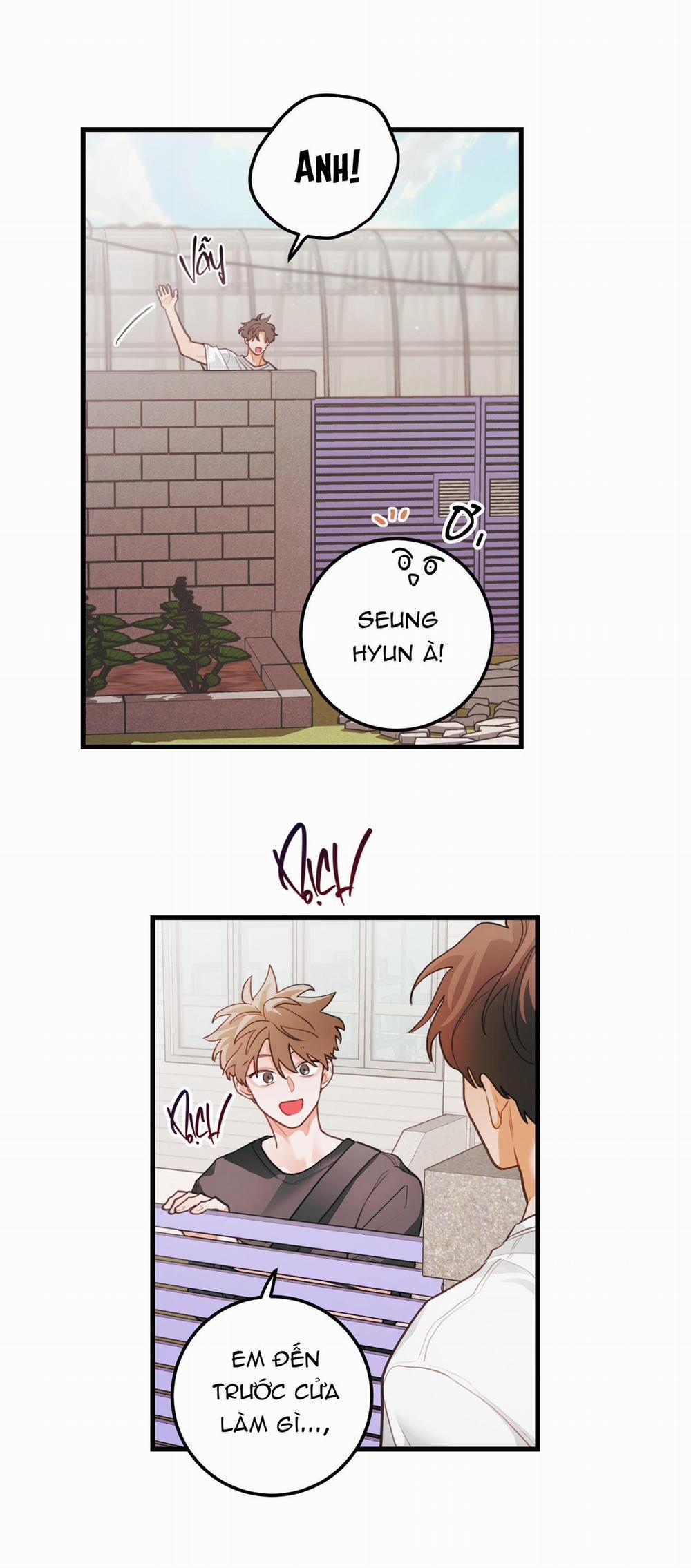 CHUYỆN TÌNH HOA LÊ NỞ 67 trang 39