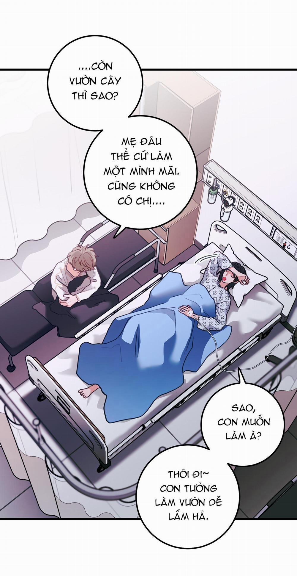 CHUYỆN TÌNH HOA LÊ NỞ 73 trang 14