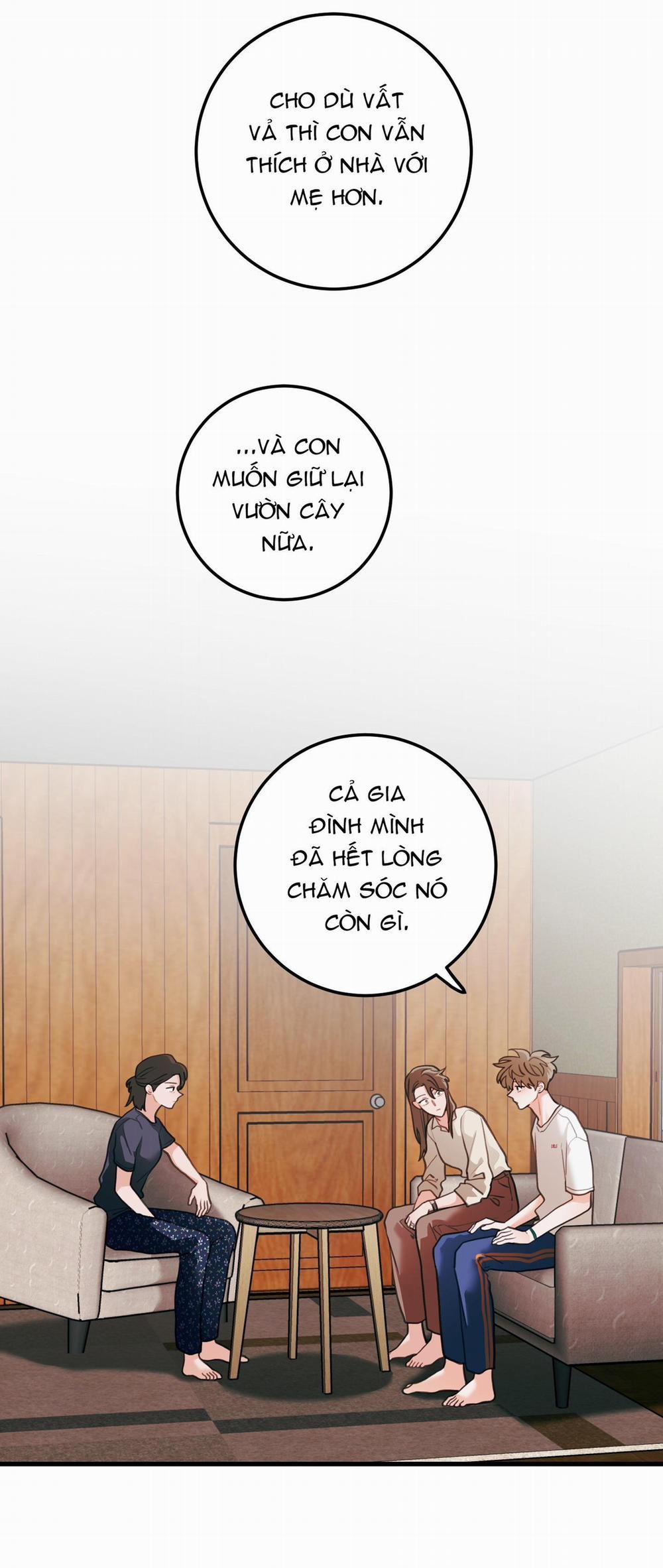 CHUYỆN TÌNH HOA LÊ NỞ 75 trang 17