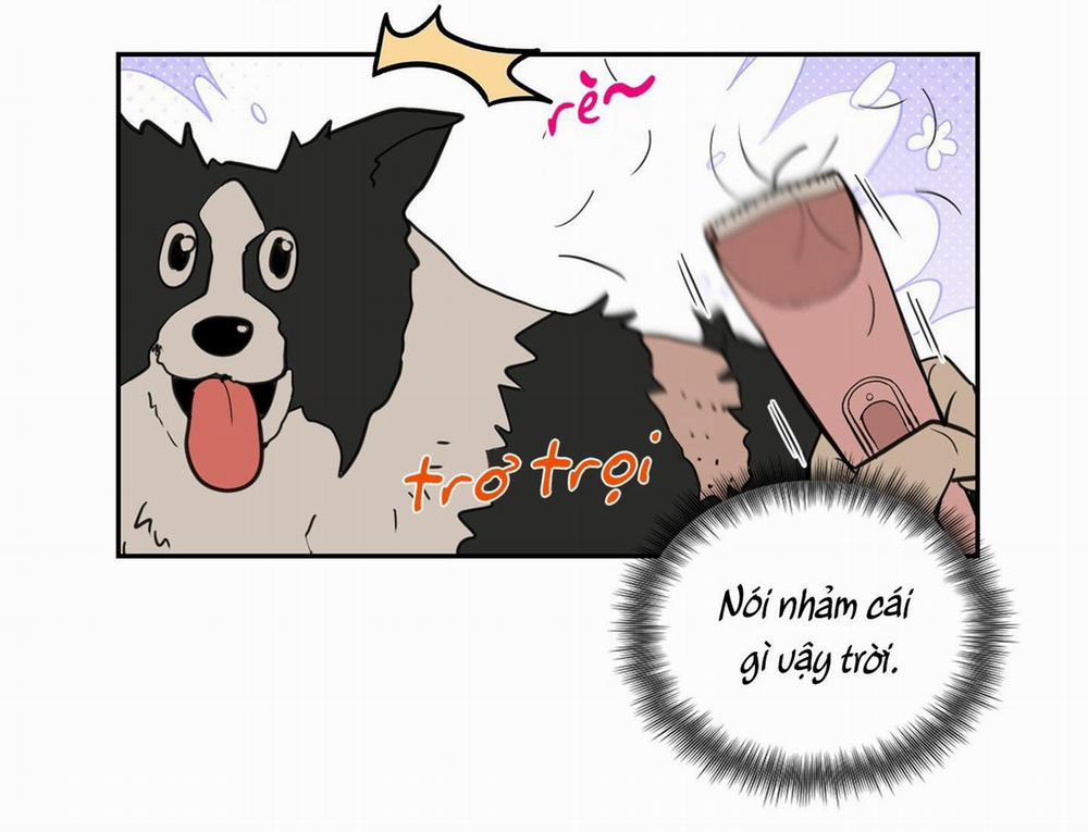 CHUYỆN TÌNH LÔNG CHÓ (END) 1 trang 42