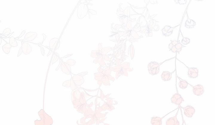 Chuyện Tình Manhattan 11 trang 115