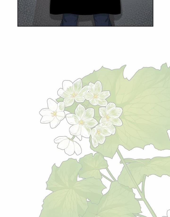 Chuyện Tình Manhattan 35 trang 50