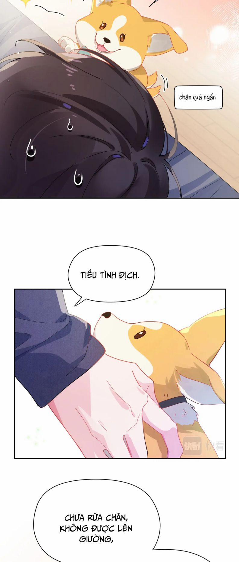 Có Bản Lĩnh Thì Cứ Hung Dữ Đi? 84 trang 9