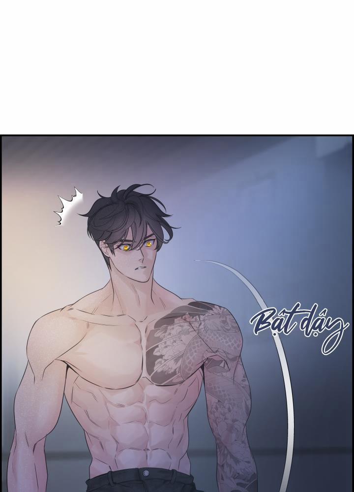 Cơ Chế Bảo Vệ 12 trang 5