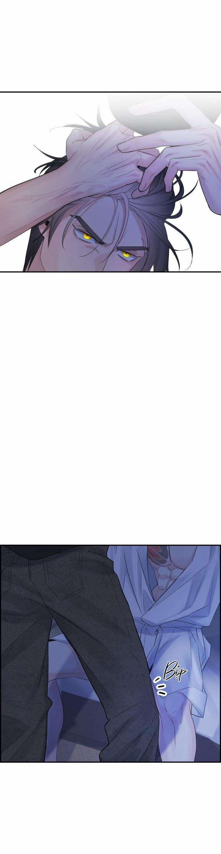 Cơ Chế Bảo Vệ 48 trang 6