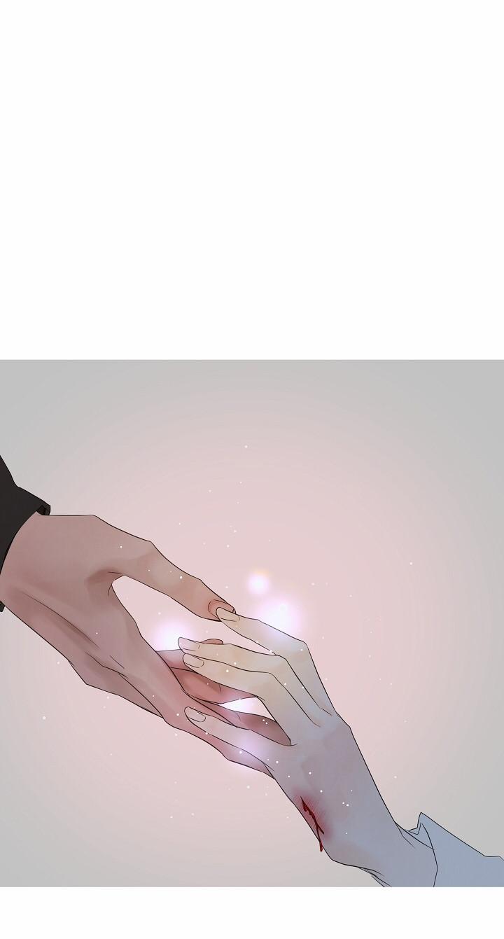 Cơ Chế Bảo Vệ 8.1 trang 4