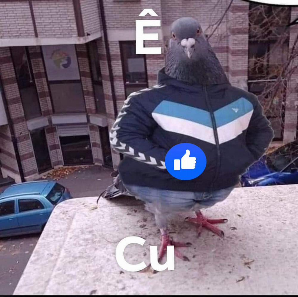 Cô em gái dẫm đãng chỉ làm tình với anh trai của mình! Oneshot nứng trang 27