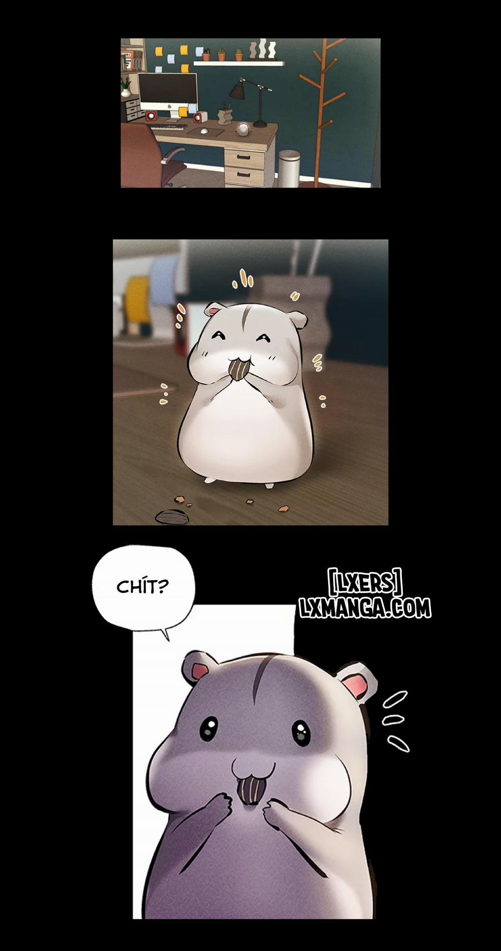 Có Phòng Trống Không? 57 trang 5