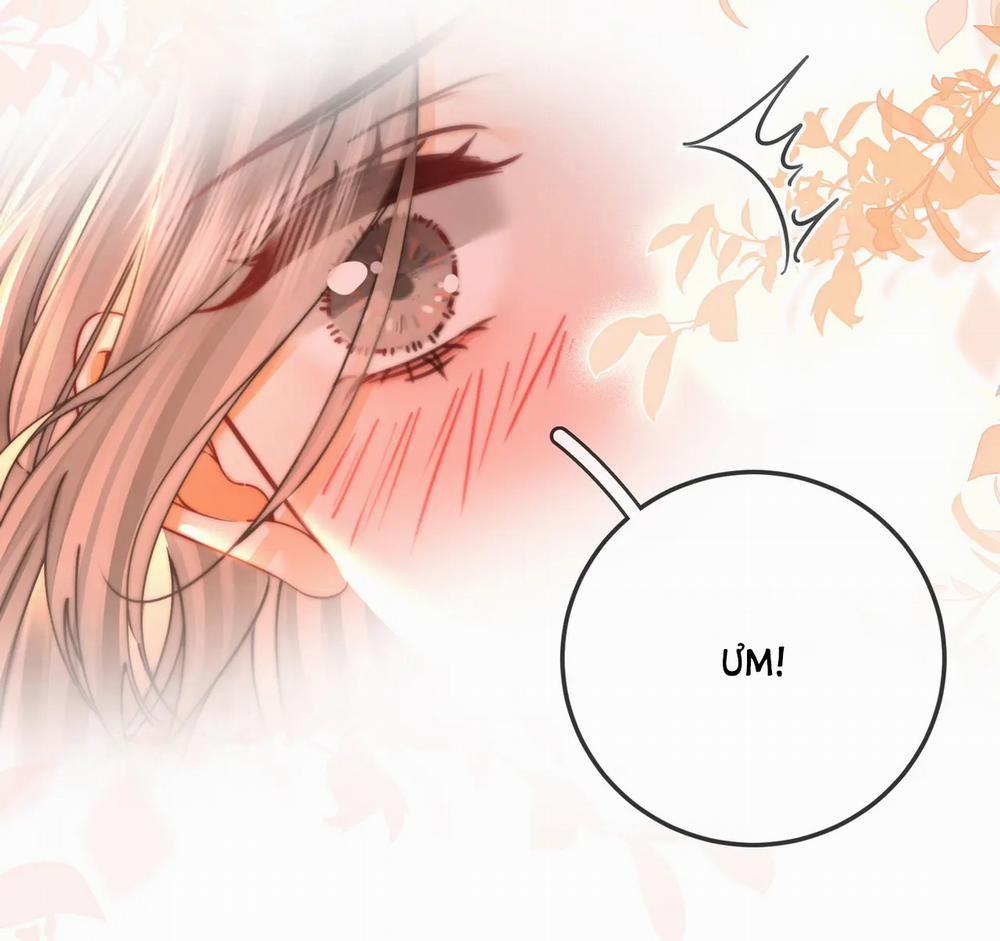 Cố Tiểu Thư Và Khúc Tiểu Thư 58 trang 26