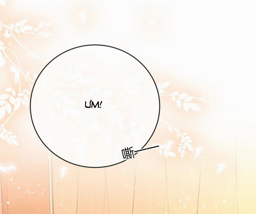 Cố Tiểu Thư Và Khúc Tiểu Thư 68 trang 8