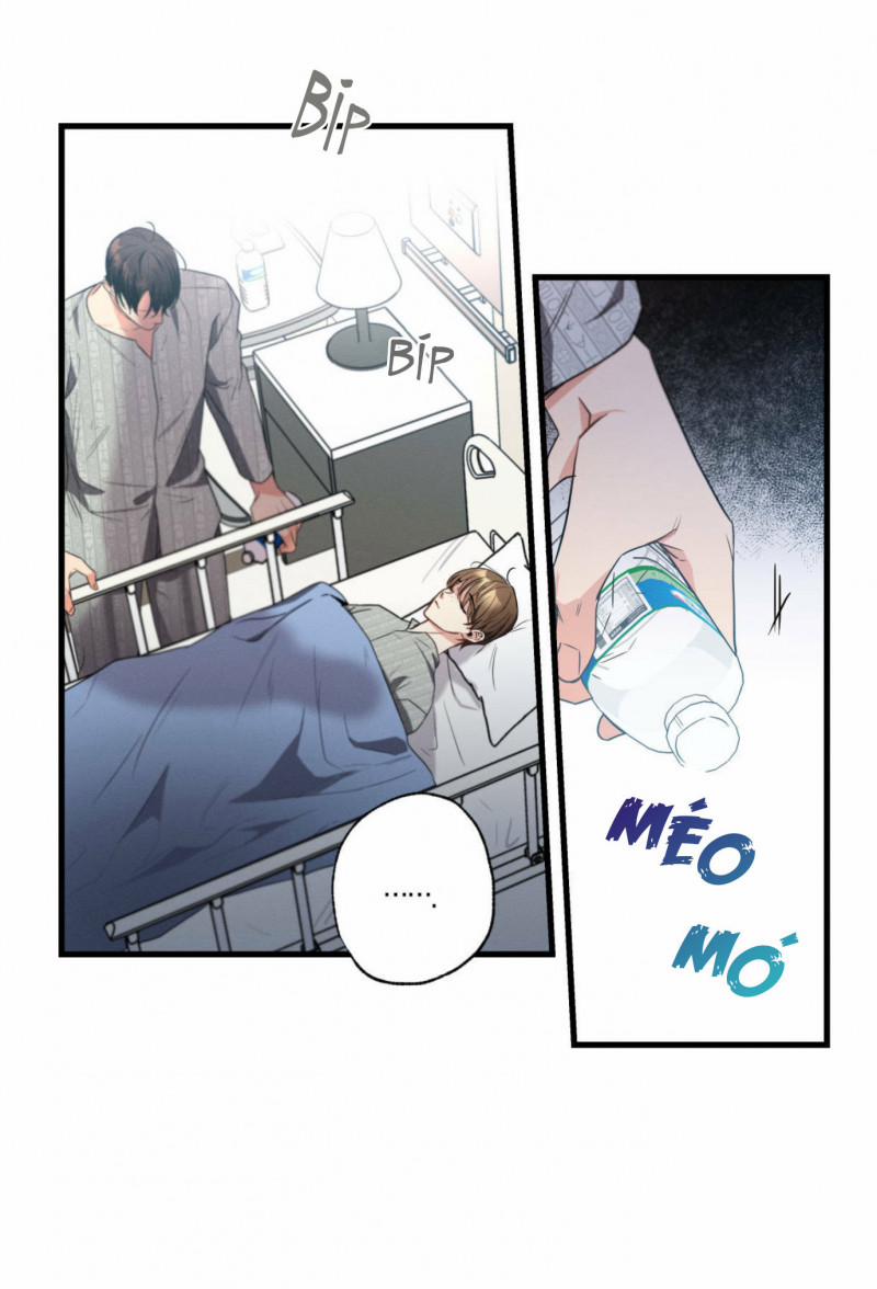 Cố Ý Sơ Xuất Yêu Đương 17 trang 14