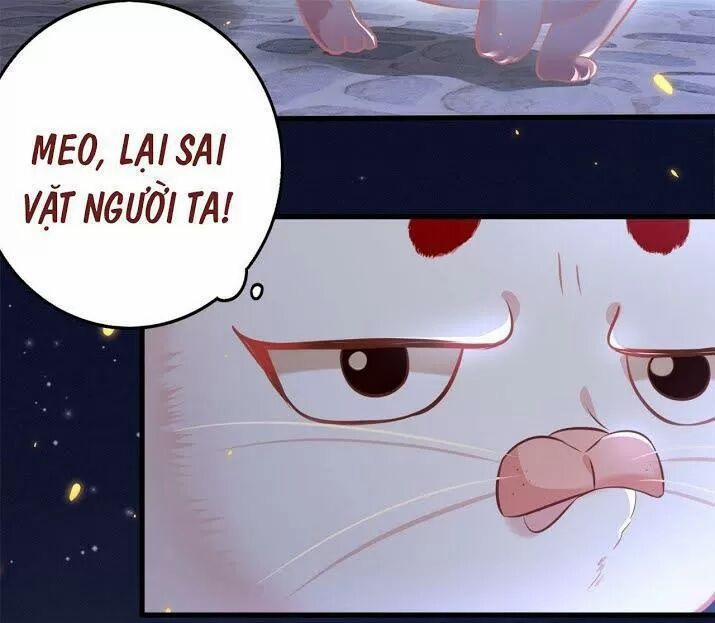 Con Đường Hoang Dã Của Vương Phi 6 trang 19