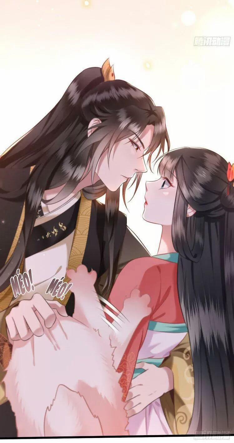 Con Đường Hoang Dã Của Vương Phi 9 trang 11