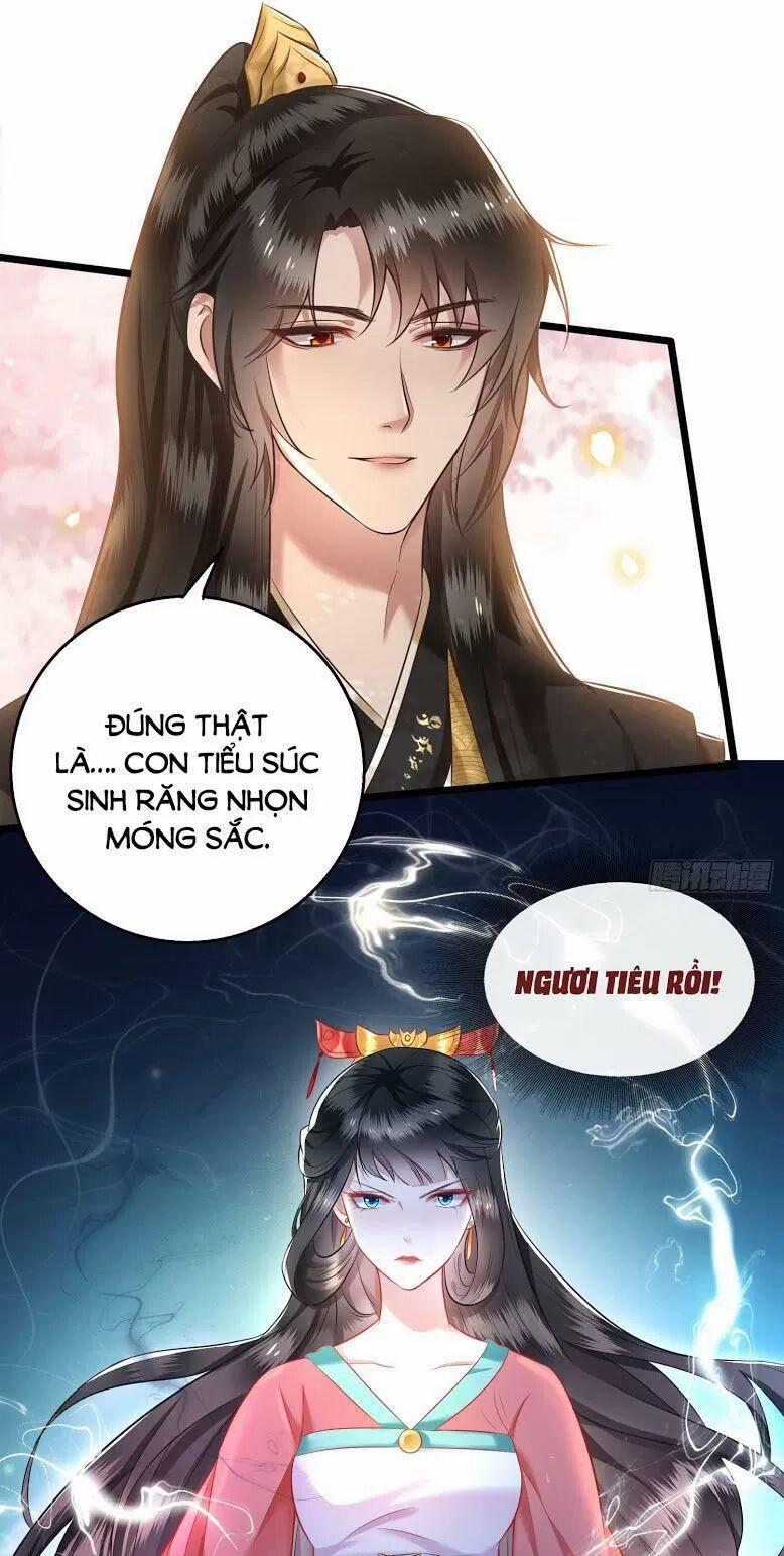 Con Đường Hoang Dã Của Vương Phi 9 trang 14